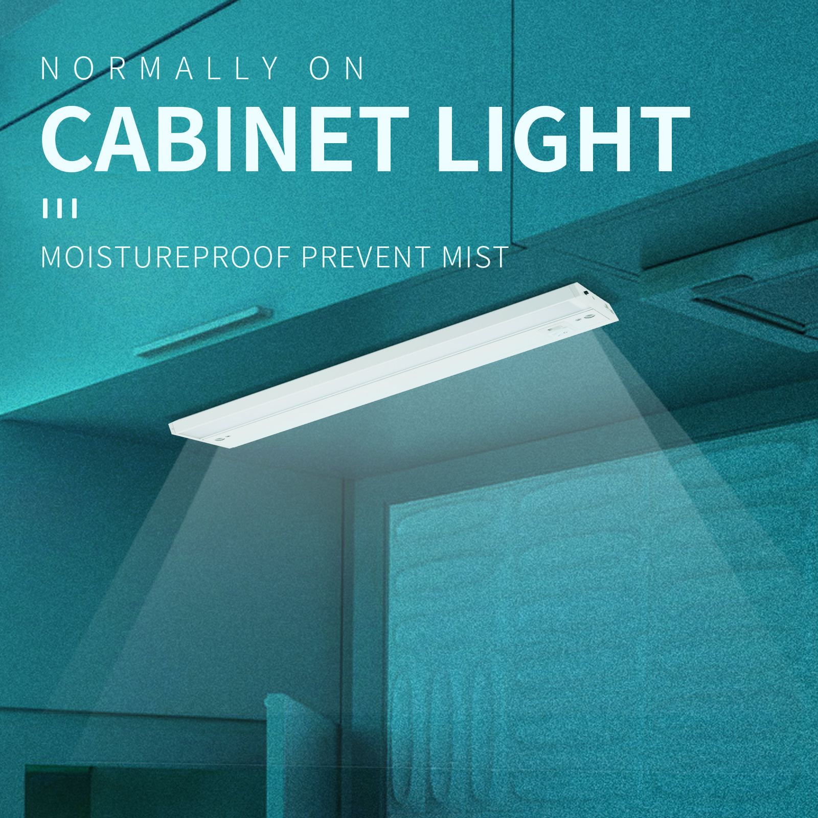 LED electronic cabinet light 