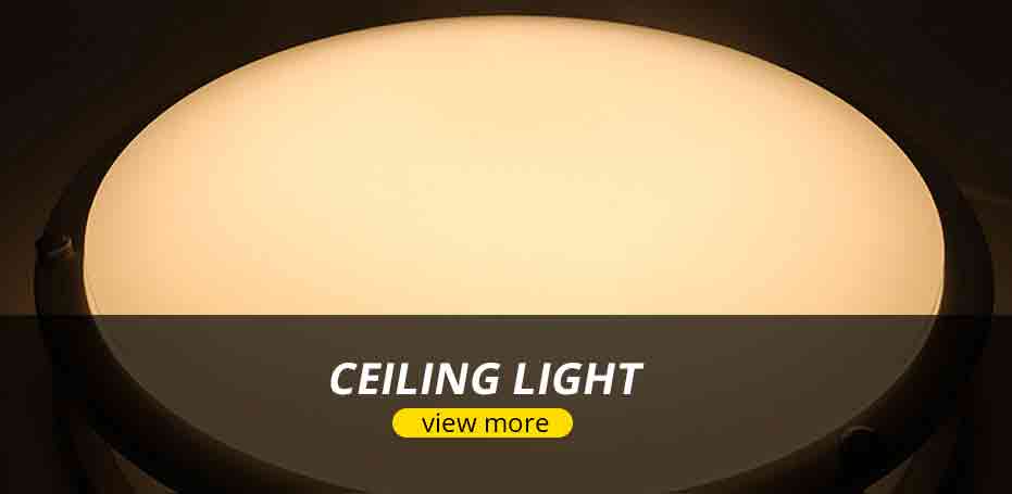 Ceiling Light