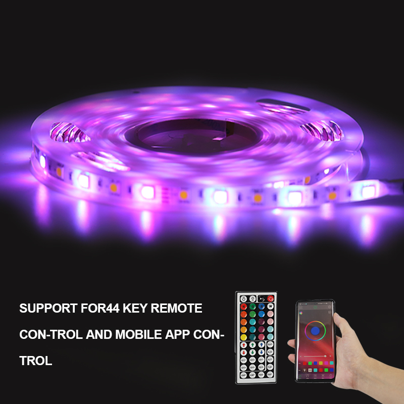 5M Strip Light With 5050 RGB LED 44 Key Remote Control APP Control  